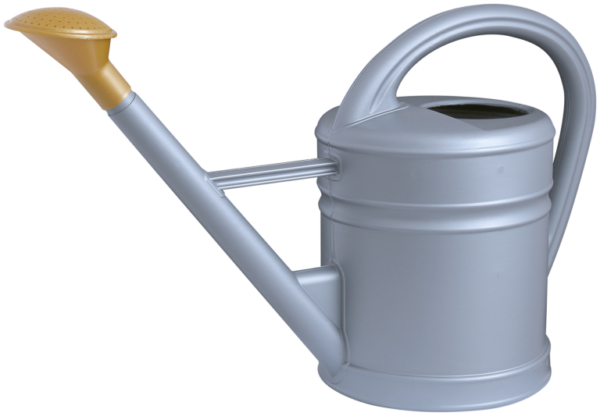 Antiqua Watering Can 10 Litre zinc 701 010 42