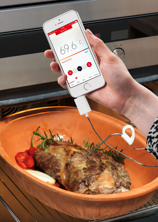 Gourmet Thermometer for Smartphones THERMOWIRE 14.1505